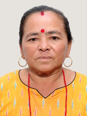 कार्यपालिका सदस्य