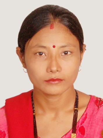 सदस्य